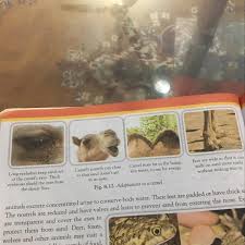 I'm fairly sure that i believed, at the time, that there were people who couldn't learn. Please Answer The Adaptation Of Camel And Their Uses Which Is Named Like 1 2 3 4 5please Brainly In