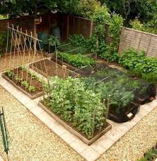 50 Modern Small Vegetable Garden Ideas 49 Best Home Design Ideas In 2021 Backyard Vegetable Gardens Vegetable Garden Design Urban Garden Design