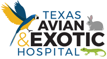 Maybe you would like to learn more about one of these? Our Avian Exotic Veterinarians Staff Texas Avian Exotic Hospital