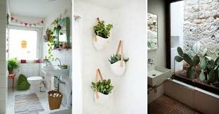 Plante verte pour salle de bain sans lumiere. 35 Idees Fraiches Pour Les Plantes Dans La Salle De Bains