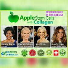 Image result for stemcell apel swiss