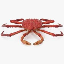 Red King Crab 3d Model Ad King Red Model Crab Red King Crab King Crab Crab