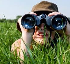 images?q=tbn:ANd9GcR61tlinWnHWi1czOgm46u