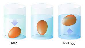 Egg Float Test Is It A Myth The Happy Chicken Coop