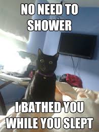 Not To Mention Totally Unnecessary Since You Re Already Bathing Them Funny Cat Pictures Funny Pictures Funny Animals