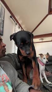 Lord These Chilrennns