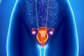 Ovarian cancer either begins in ovaries or may start in the distal end of the fallopian tubes. Priority Symptoms Identified In Recurrent Ovarian Cancer Oncology Nurse Advisor