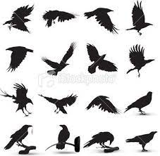 Birds flying silhouette transparent background. Raven Silhouette Royalty Free Stock Vector Art Illustration Silhouette Tattoos Raven Tattoo Raven Art