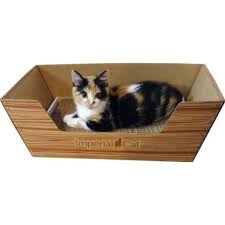 5 out of 5 stars All In One Cat Scratcher And Cat Bed