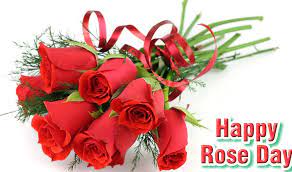 Rose Day Jpg Rose Day Wallpaper Red Rose Pictures Flower Delivery