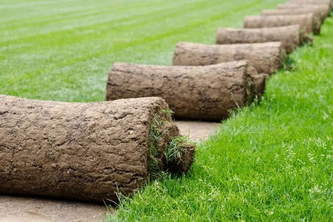 Roll Out Lawn Adelaide | Tim's Total Turfcare