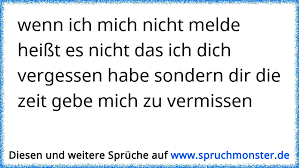 Wenn Ich Mich Nicht Melde Heißt Es Nicht Das Ich Dich Vergessen Habe