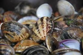 Scrigno di venere mollusco ricetta. Molluschi Bivalvi Come Cuocerli In Modo Sicuro