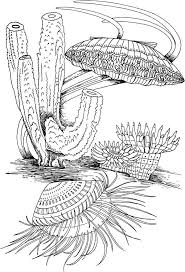 The pacific, atlantic, indian, arctic, and southern. Clam Shell And Marine Life Coloring Page Download Print Online Coloring Pages For Free Color Nimbus