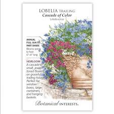 Image result for lobelia combine composition