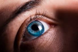 Colored contacts are fashionable and available at low prices at walmart. Everything You Need To Know About Color Enhancing Contact Lenses Perfectlens Canada