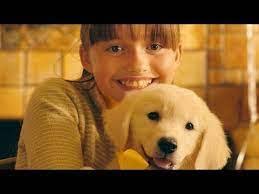 Ashley Krigbaum's Instagram, Twitter & Facebook