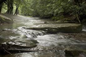 The right appliances make small kitchens more comfortable. Campground Details Cook Forest State Park Pa Pennsylvania State Parks