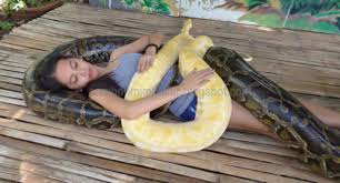 Mempunyai ular dalam mimpi di tafsirkan sebagai pertanda baik akan mendapatkan keberuntungan berupa kesehatan, kebahagiaan, dan nasib beruntung apa makna bermimpi ular besar makan ular kecil? 99 Arti Dan Makna Mimpi Melihat Ular Raksasa Menurut Primbon Jawa Dan Tafsir Islam Lengkap Mimpi Ular
