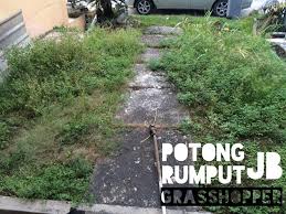 Yakni bahan bakar, kompresi dan pengapian. Mesin Rumput Susah Hidup Mesinkayo