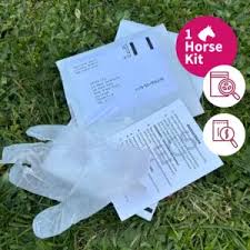 Image result for Pinworm Test