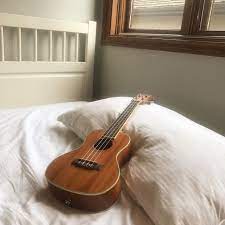 Pinterest Peachiemaggie Ukulele Taylor Swift Album Dear Evan Hansen