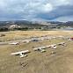 CSU Christman Field Grand Re-Opening