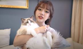 Vốn là người hà nội nhưng hiện tại linh ngọc đàm chủ yếu phát triển công việc stream tại miền nam. Linh Ngá»c Ä'am Giau Cá»¡ Nao