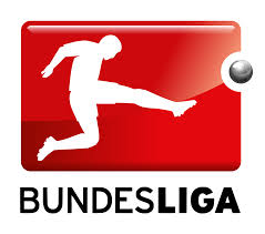 Image result for logo of epl/italia/spanish/bundesliga/french/portugal photos
