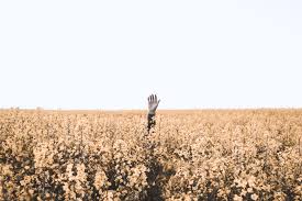 Robert johnson 1 year ago. Do These 2 Things To Unlock Potential In The People Around You By Jesse Nieman Medium