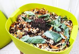 Epingle Sur Jardin