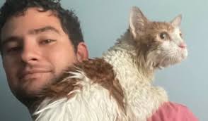 Man Braves Hurricane Ian to Rescue a Stranded Cat From