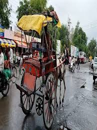 आज भी ये शहर कर रहा तांगे से सफर