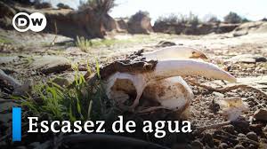 Resultado de imagen para escasez de agua dw