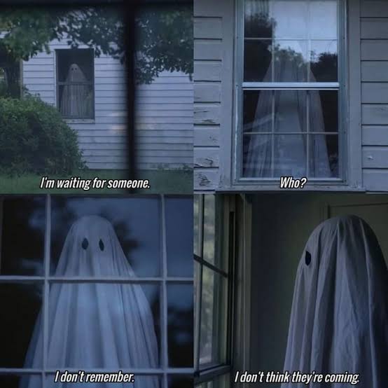 A Ghost story, 2017. : r/A24