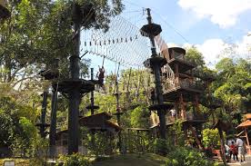 Sukacita dimaklumkan taman botani negara shah aalam (tbnsa) akan mula beroperasi dan dibuka semula kepada orang awam bermula 1 april 2021 (khamis). Skytrex Adventure Shah Alam How To Reach Best Time Tips
