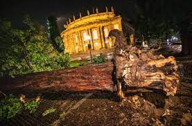 Christoph schmidt (dpa) ein umgestürzter baum liegt vor dem opernhaus. Btja3fvvnohw0m