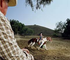 Buying Your First Horse Is Older Or Younger Better