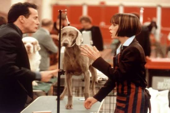 Best in Show | Music Box Theatre