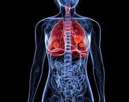 Is it magic, or is there an amazing process of filtering oxygen filled air through your nose to your lungs to the tiniest alveoli (air sacs) and then to your blood stream to sustain your entire body. Human Respiratory System Theschoolrun