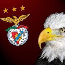 Sport Lisboa E Benfica Benfica Wallpaper Sport Lisboa E Benfica Futebol