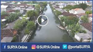 348 tanah pribadi dijual, di batu ditemukan. Video Tanah Di Gunung Anyar Tambak Dan Wonorejo Ini Masuk Lahan Konservasi Surya