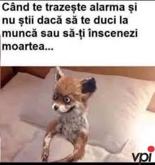 Cu toţii ştim cât de greu este să deschizi ochii dimineaţa, soarele să te orbească şi, mai ales, să te ridici din pat ca să îţi începi ziua. Cine Se Trezeste Dimineata Viral Pe Internet