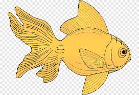 Check spelling or type a new query. Ikan Carassius Auratus Seni Hewan Laut Hidangan Laut Vertebrata Png Pngegg