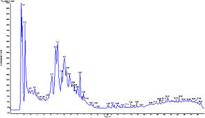 Image result for Solanecio mannii