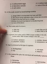 The lambda phage) that integrate into the host dna. In The Cycle Caused By Bacteriophage Lambda Phage Chegg Com