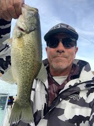 Hi all! Question about interpreting results from a cox mixed effects model  in R. For context, we are comparing the efficacy of baits/lures. I am  looking at "time to first investigation" so