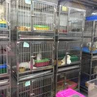 Then you have to see this. T T Pet Shop Bayan Lepas Pulau Pinang