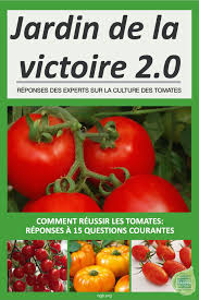 Les tomates préfèrent un sol fertile et doivent constamment être nourries. Reponses A 15 Questions Sur La Culture Des Tomates Jardinier Paresseux