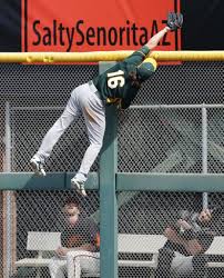 A S Josh Reddick Makes Unbelievable Catch In Spring Training Oakland A S Oakland Athletics Baseball Homerun